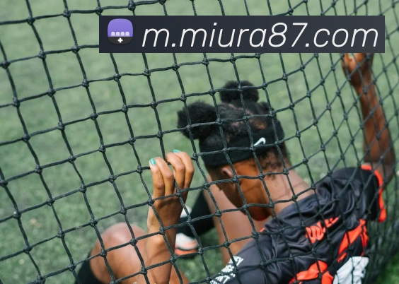 mksports网站APP 封面图